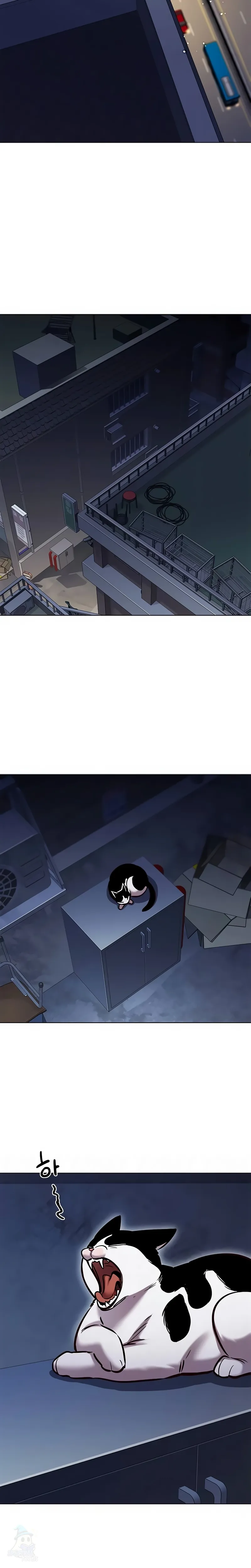 Read Eleceed Português Manga Online