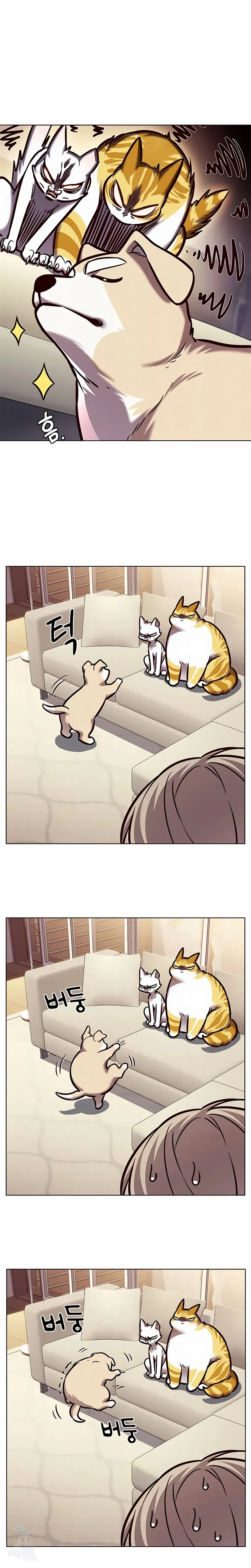 Read Eleceed Português Manga Online