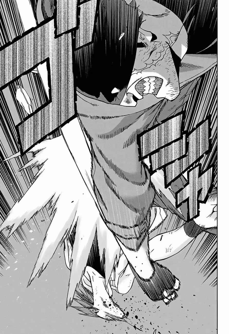 Read My Hero Academia_ Vigilantes Português Manga Online