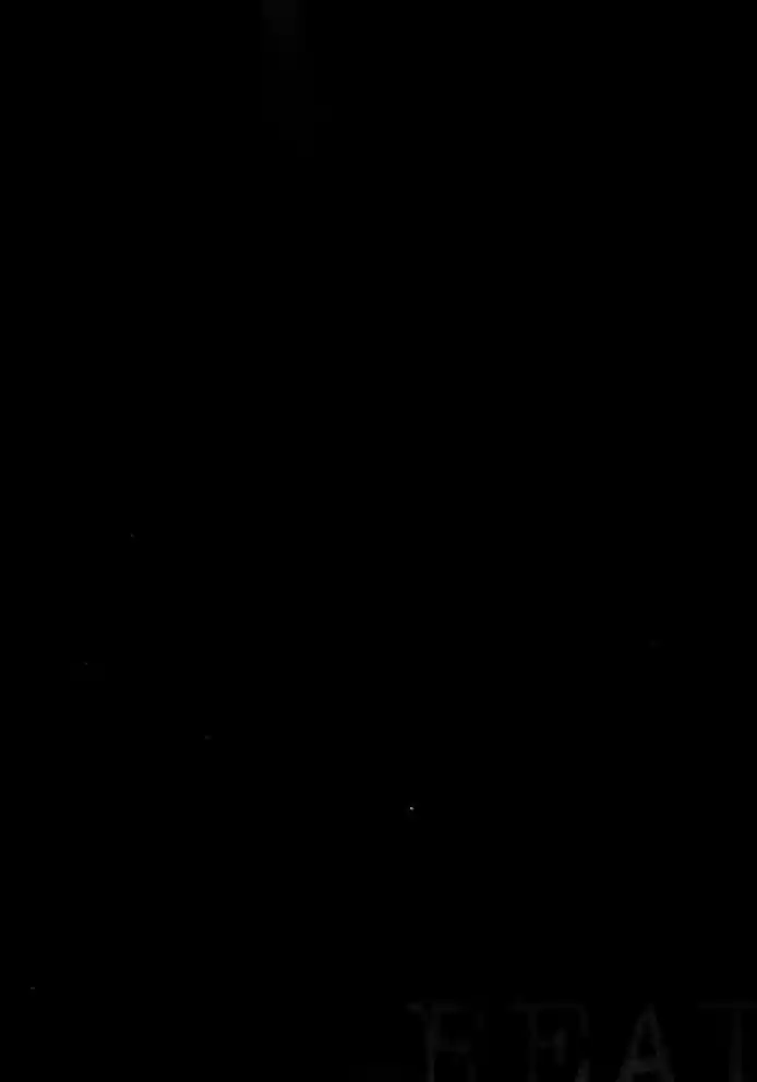 Read Real Português Manga Online