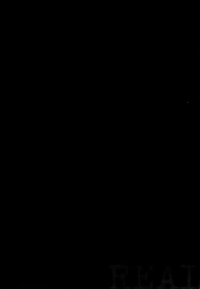 Read Real Português Manga Online