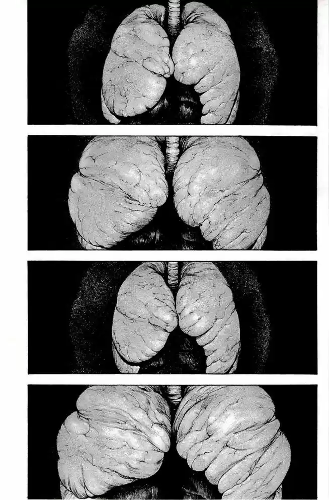 Read The Climber Português Manga Online