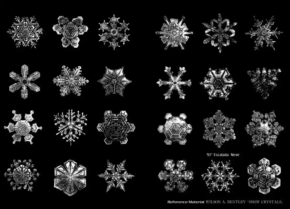 Read The Climber Português Manga Online