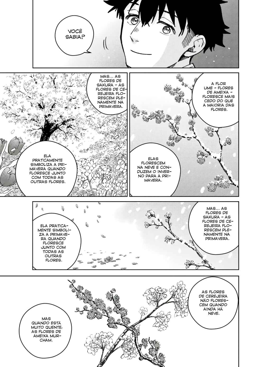 Read Wind Breaker Manga Português Manga Online