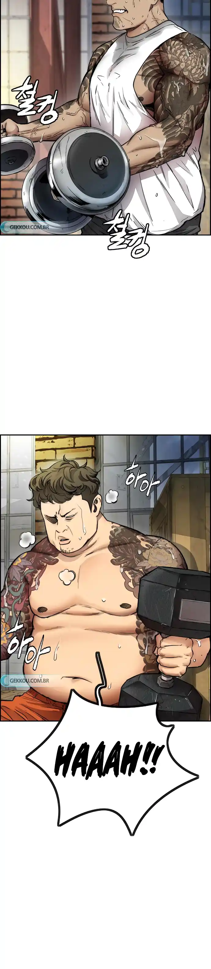 Read Wind Breaker Manhwa Português Manga Online